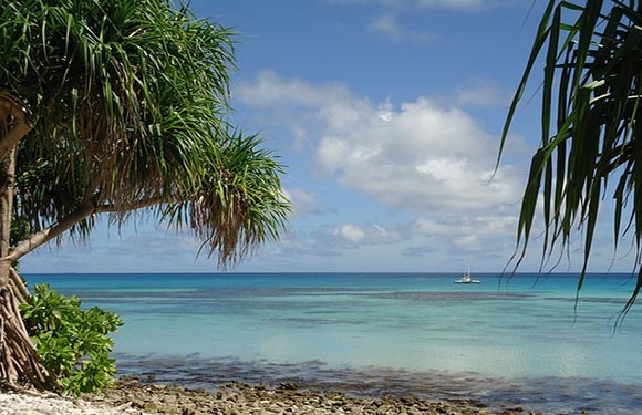 A tropical beach with clear blue water, sandy shore, palm trees, blue sky, and a distant boat.