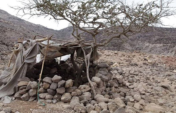 A makeshift shelter constructed with sticks and draped with tattered fabric, set against a backdrop of rocky terrain and a sparse tree.