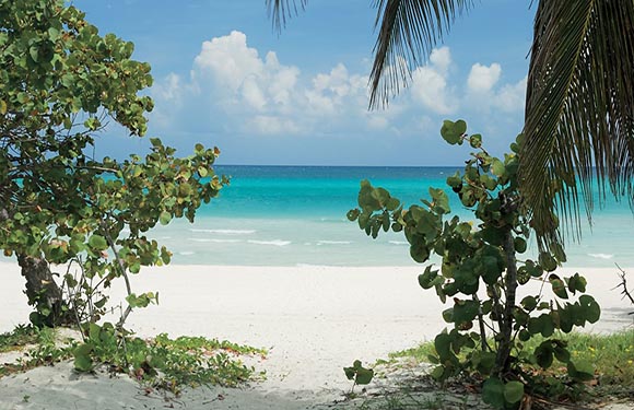 A tropical beach scene with clear turquoise water, white sand, and green foliage on either side of the frame.