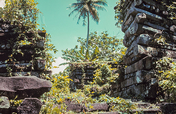 A tropical scene with ancient stone ruins overgrown with vegetation under a bright blue sky.