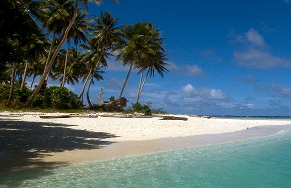 A tropical beach with clear blue water, white sand, and several palm trees under a blue sky with few clouds.