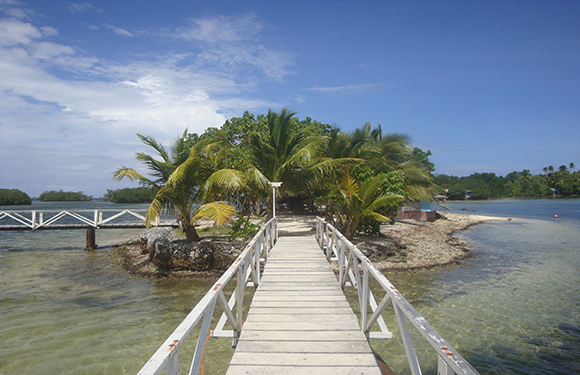 A wooden pier leading to a small tropical island with palm trees under a blue sky with scattered clouds.