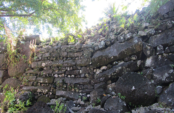 A photo shows a layered rock wall with vegetation, set in an outdoor location with trees and foliage.