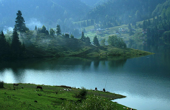 A peaceful scene of a calm lake, grazing cows, a person sitting by the water, and a misty hill backdrop.