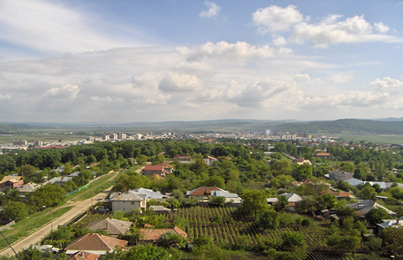 Aerial view of a suburban area with houses and gardens, leading to a cityscape with buildings on the horizon under a cloudy sky.