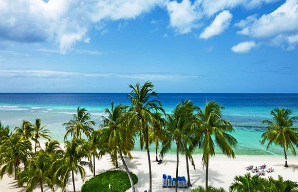 A tropical beach scene with palm trees, white sand, and clear blue water under a partly cloudy sky. There are a few people and beach chairs visible.