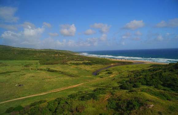 A picturesque coastal scene featuring a green field, a winding road, a beach with waves, under a cloudy blue sky.