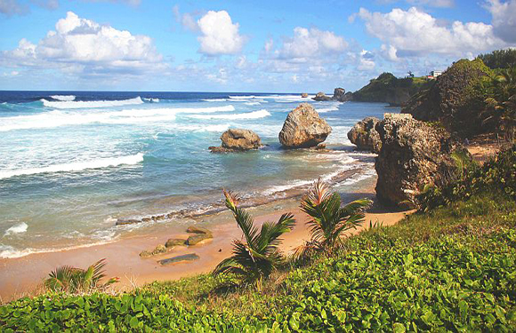 A tropical beach scene with waves, rocks, palm trees, lush greenery, and a blue sky with clouds.