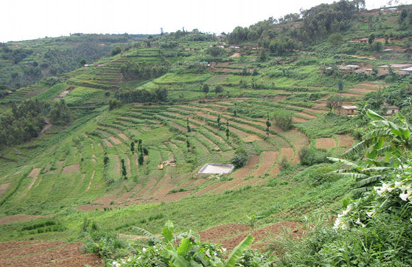 A terraced landscape with green vegetation and agricultural fields, under a cloudy sky.