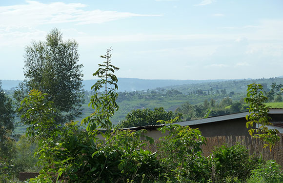 A rural landscape with greenery, trees, and a clear sky. There's a building with a brown roof in the foreground.