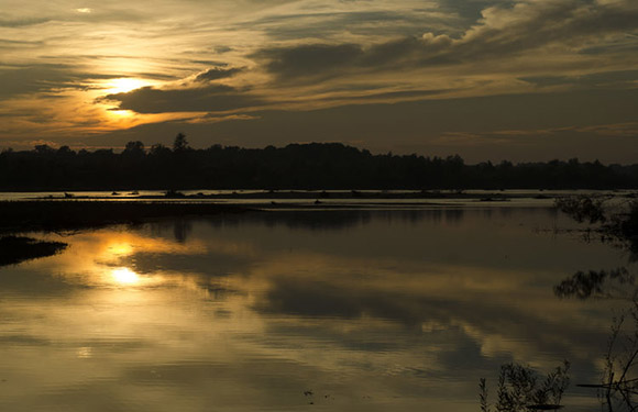 A sunset over a calm body of water with reflections of the sun and clouds on the surface, silhouettes of trees on the horizon.