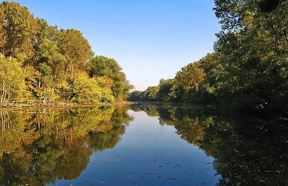 A serene river surrounded by lush trees with autumn colors reflecting on the water surface under a clear blue sky.