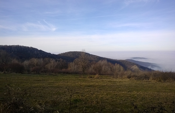 A landscape view of rolling hills with bare trees and a grassy foreground, under a hazy sky.