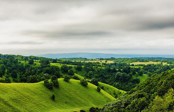 A scenic view of rolling green hills with trees and a cloudy sky.