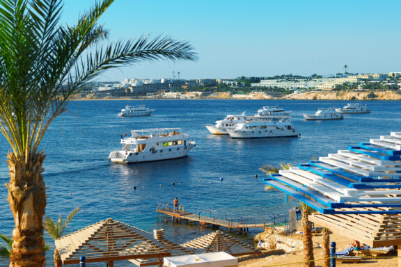 A coastal scene with the Red Sea, multiple white boats floating on the water, a beach with blue lounge chairs, and a palm tree on the left side.