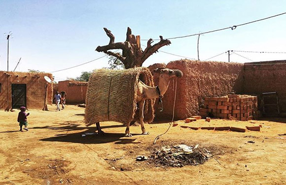 An image showing a traditional African village scene with mud-brick walls, thatched structures, a bare tree, and a few children in the distance.