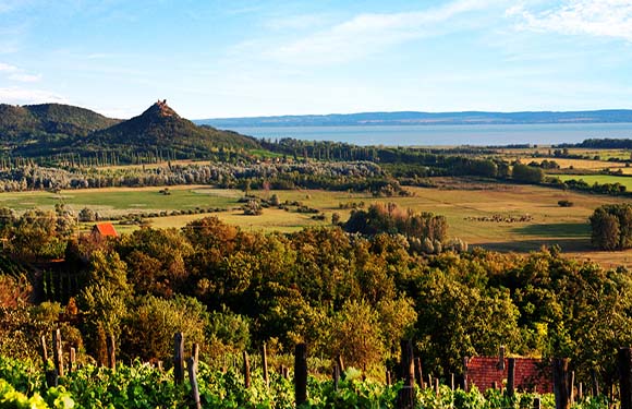 A picturesque landscape with green vineyards, diverse trees, a rocky hill, clear sky, few clouds, and distant water body.