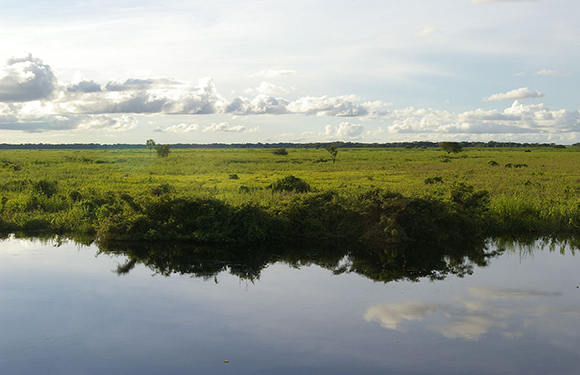 A serene landscape with a calm body of water reflecting the sky and grassy field with sparse trees under a partly cloudy sky.