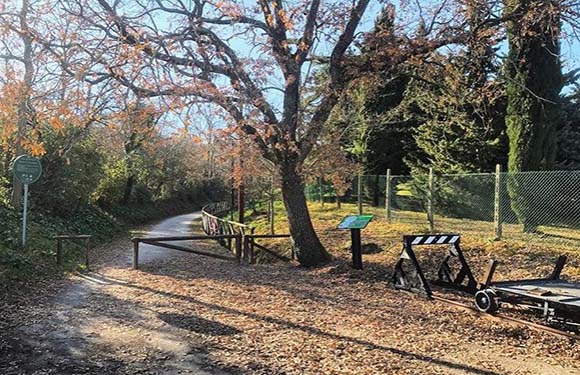 A park pathway with a closed gate, a bench, and a fallen leaves-covered ground, with trees and sunlight filtering through.