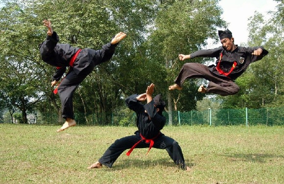 Top 10 Most Dangerous And Effective Fighting Styles