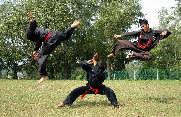 Three martial artists in black uniforms and red belts perform high kicks outdoors, with trees and grass in the background.