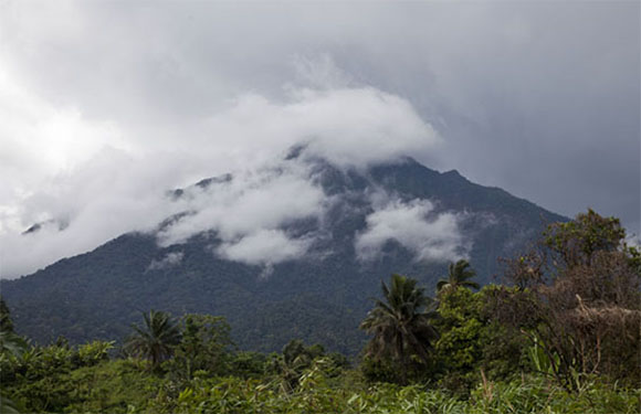 Mount Cameroon Mount Cameroon