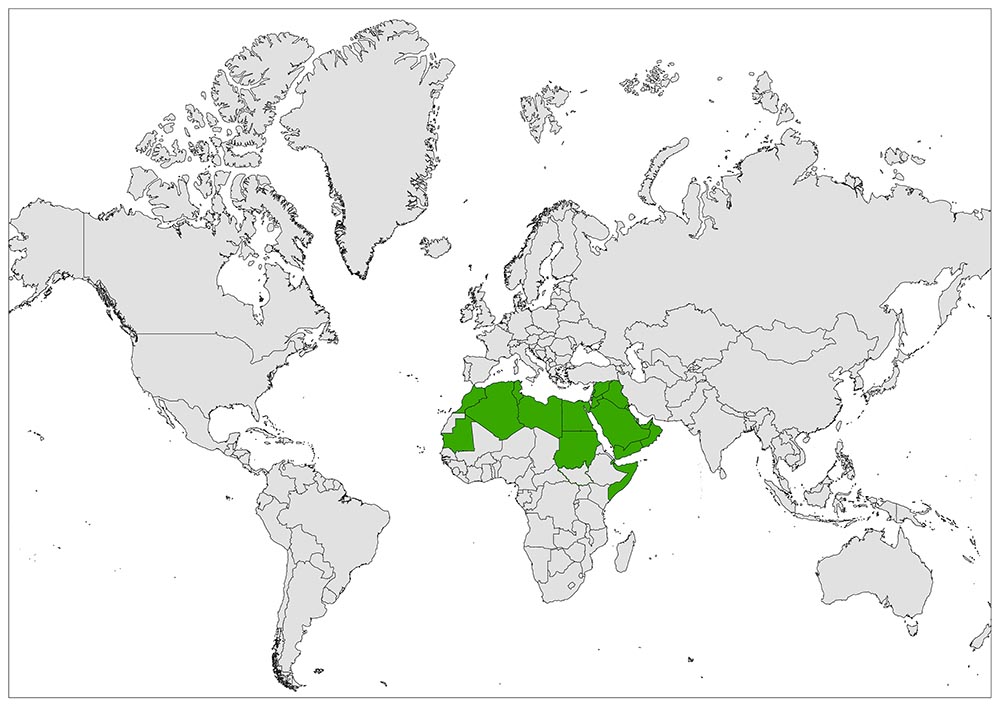 A  world map with countries outlined, highlighting a region in green across North Africa and parts of the Middle East and Asia.