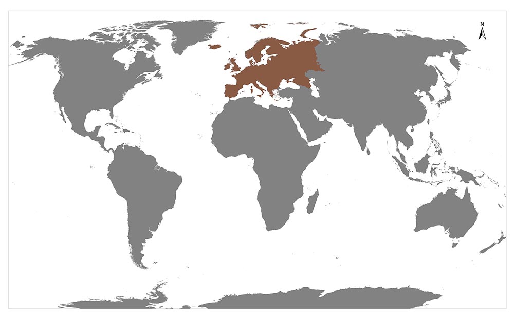 A world map with one country highlighted in red.