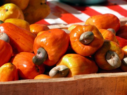 Kaju Fruits Kaju Fruits