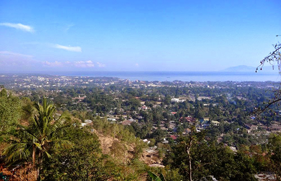 A panoramic view of a coastal town with buildings amidst greenery, palm trees in the foreground, and a clear blue sky above.