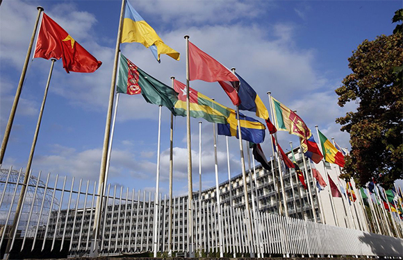 A row of various national flags fluttering on poles in front of a modern building with a clear sky in the background.