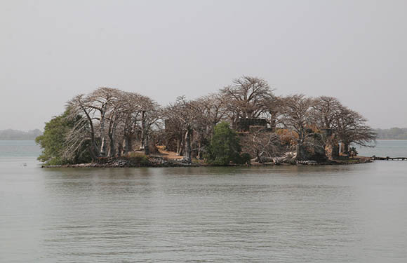 Kunta Kinteh Island is surrounded by water, and ruins can be seen among leafless trees.