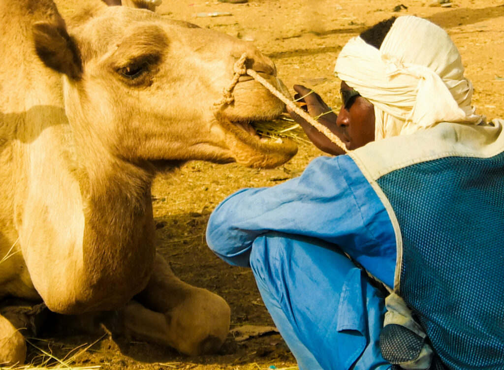 Niger Niger