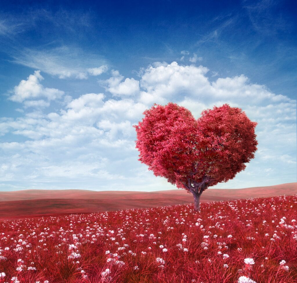 A tree with a canopy shaped like a heart in the middle of a field with red and white flowers under a blue sky with light cloud cover.