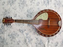 A mandolin with a round body and a neck featuring frets and tuning pegs, lying on a floral patterned fabric.