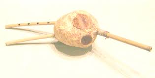 An image of a berimbau, a single-string percussion instrument, traditionally used in Brazilian Capoeira, with the bow and gourd visible.