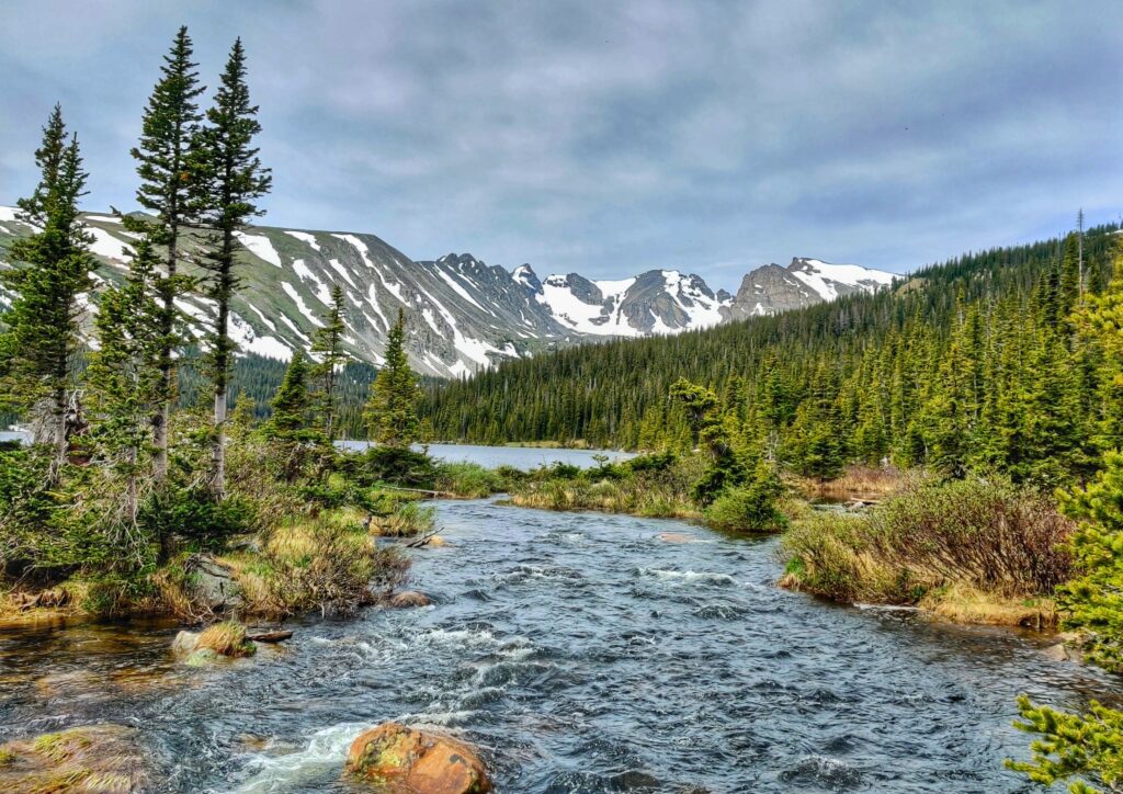 A river runs through woodland near snowy mountains.