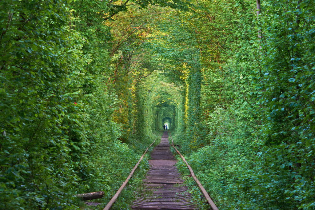 The real natural wonder - love tunnel created from trees along the railway in Ukraine, Klevan.