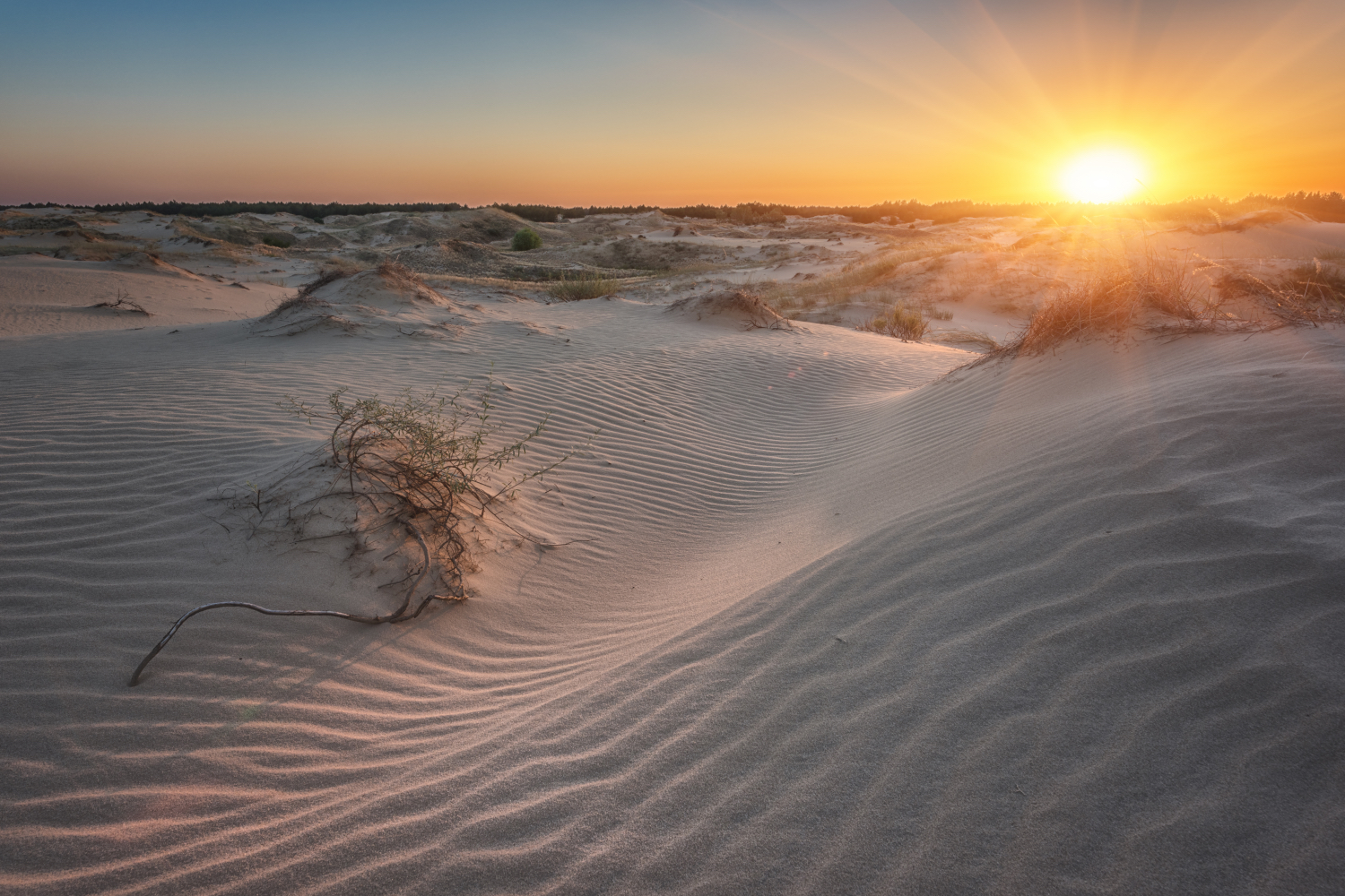 Sunset over the rippled sand dunes of Oleshky Sands Nature Park with sparse vegetation.