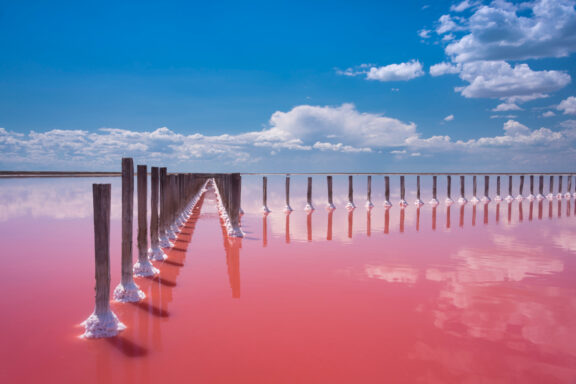 An image of a pink-colored salty lake with a wooden structure partially submerged in the water, under a blue sky with fluffy clouds.