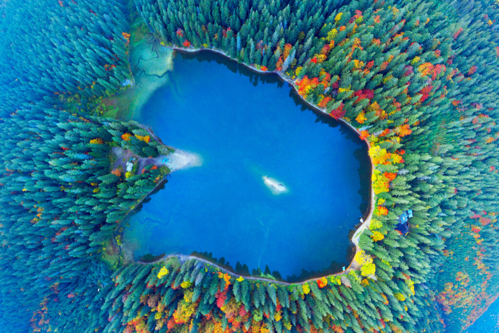The famous Synevyr lake, a tourist attraction, in the Carpathians, Ukraine, autumn beech and coniferous forest, beautiful mountain landscape. Aerial view drone copter