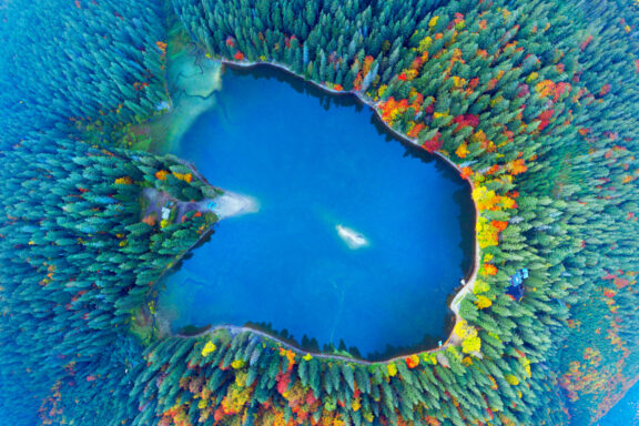 Aerial view of Synevyr Lake surrounded by colorful autumn foliage in a forest.