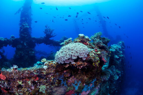 Underwater photo depicts coral formations on a sunken ship in Chuuk, Micronesia, with a boat silhouette above.