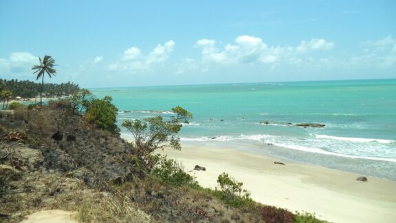 A scenic view of a beach in Alagoas, Brazil, featuring turquoise waters, sandy shores, and a rocky outcrop with lush palm trees.