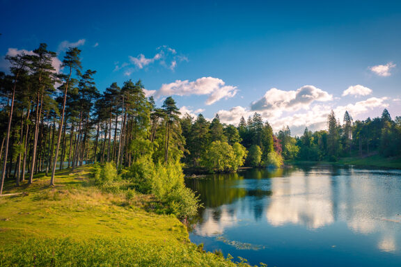 A peaceful Lake District scene featuring a calm lake, lush greenery, tall trees, and a blue sky with clouds.