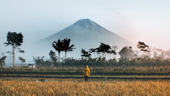 A person in yellow walks through a field in Oro-Oro Ombo, Indonesia, with a hazy view of a large mountain behind.