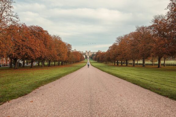 A person walking down a tree-lined gravel pathway leading towards a distant building, with autumn foliage on the trees and a cloudy sky above.