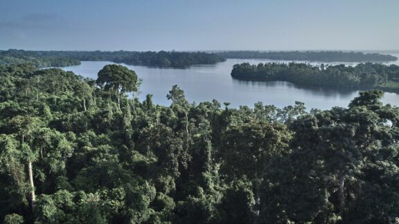 Aerial view of a dense rainforest with a river in Gabon.