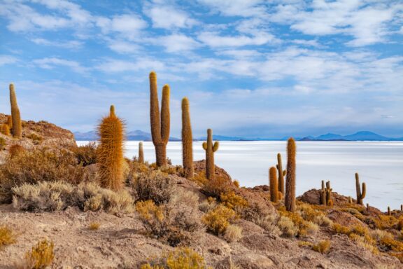 The Uyuni Salt Flat in Bolivia features tall cacti in the foreground and a vast, bright salt flat under a cloudy blue sky.