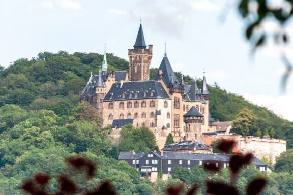 Wernigerode Castle Perched on a Hilltop Amidst Greenery A picturesque view of Wernigerode Castle, perched on a hill surrounded by lush greenery, with blurred flowers in the foreground.